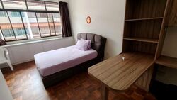 Haig Road (D15), Terrace #584500591